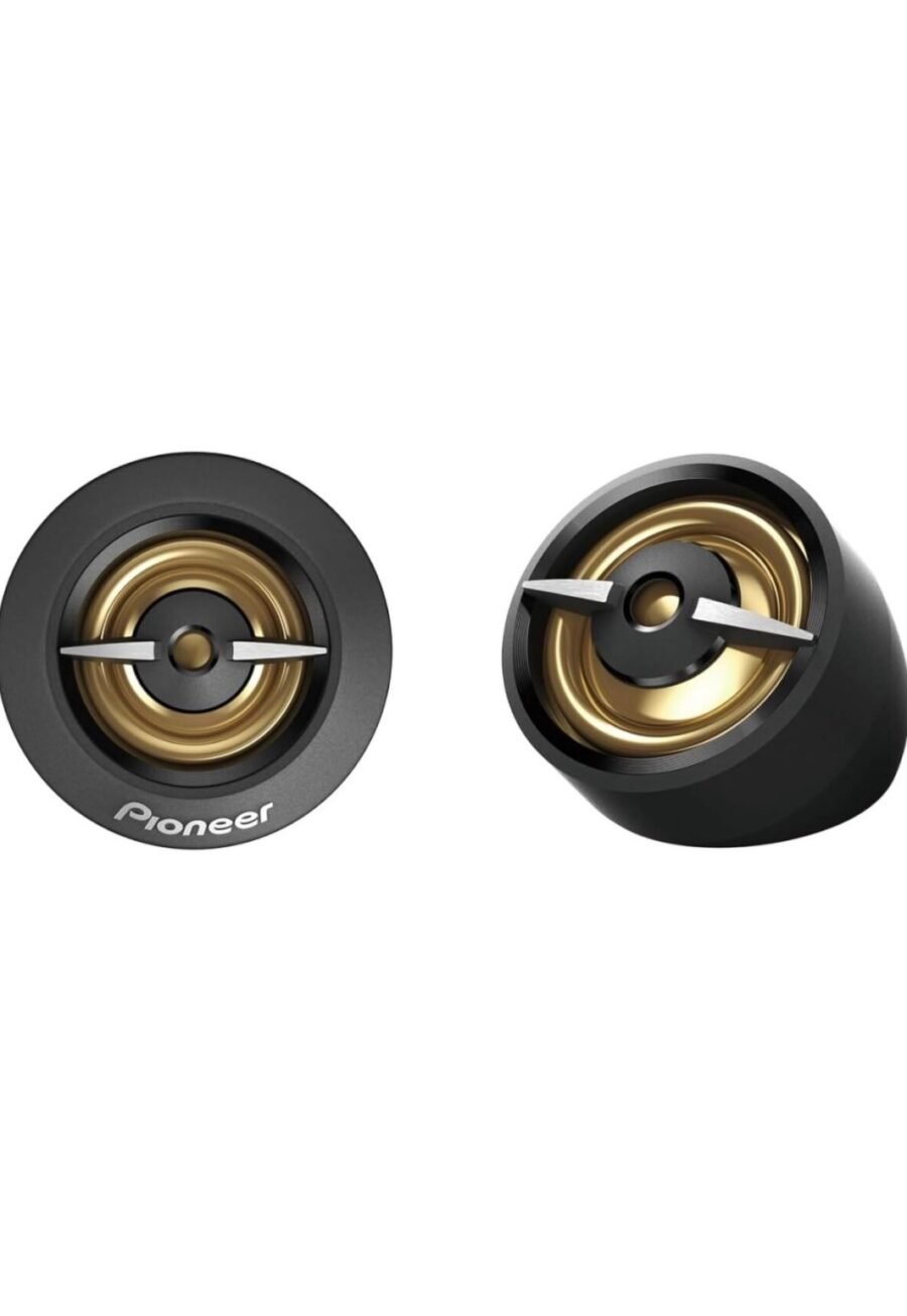 Pioneer TS-A301TW